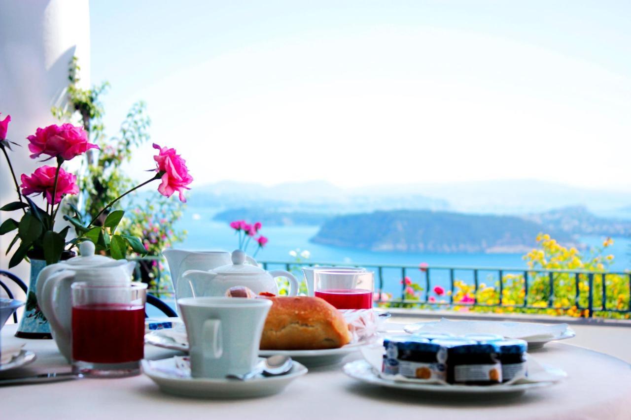 La Pergola Del Torchio Bed & Breakfast Иския Екстериор снимка
