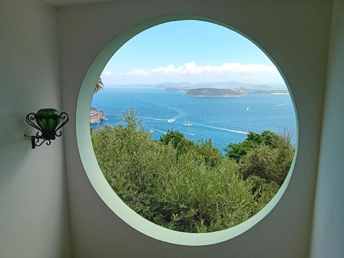 La Pergola Del Torchio Bed & Breakfast Иския Екстериор снимка